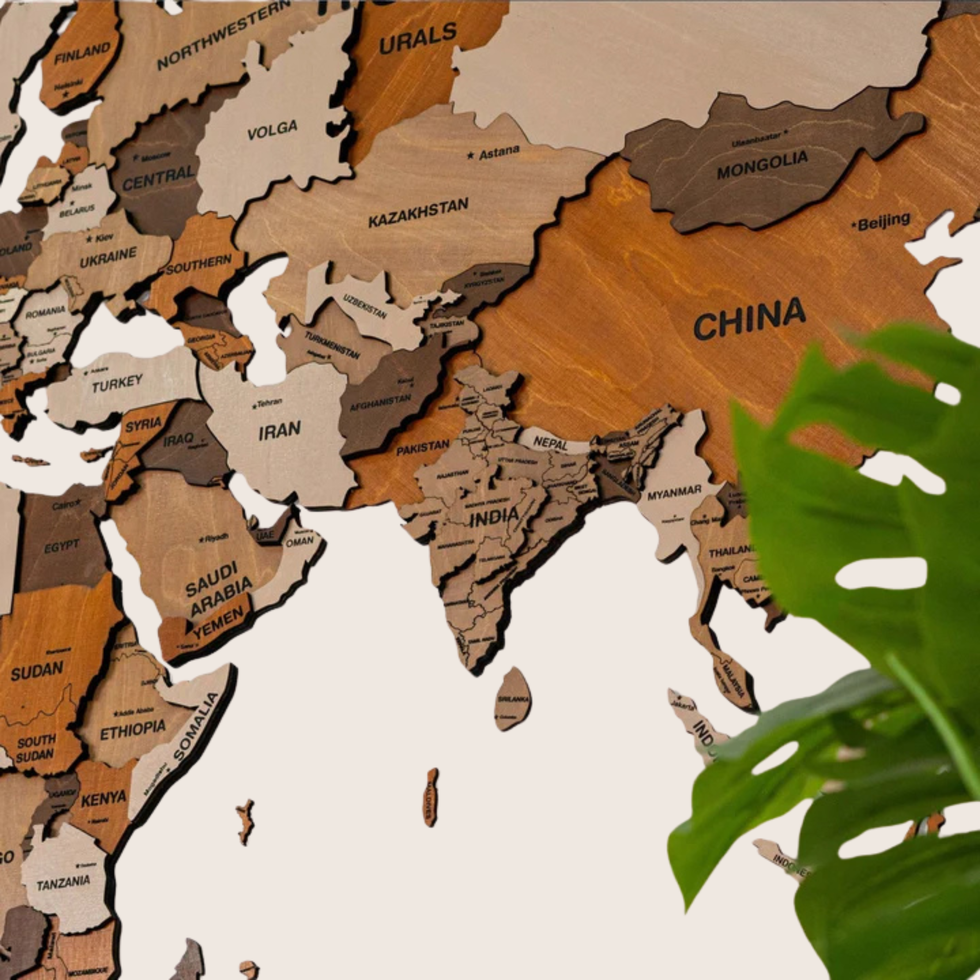 3D Wooden World Map Multicolor